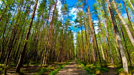 Similar image 21817258