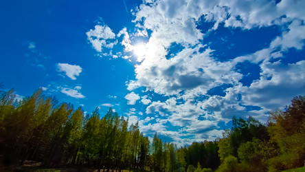 Similar image 21817262