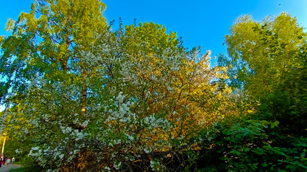 Similar image 21817432