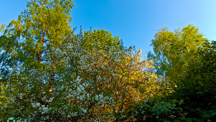 Similar image 21817433