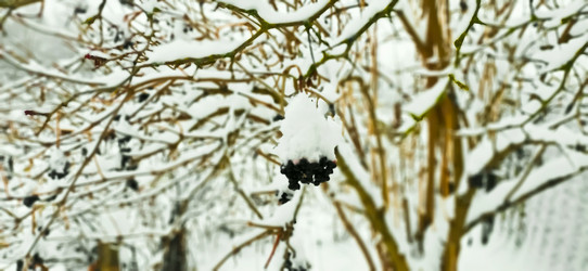 Similar image 21824864