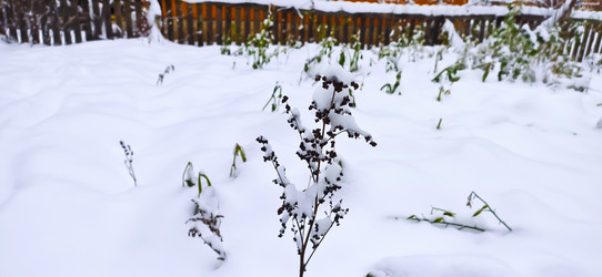 Similar image 21824869