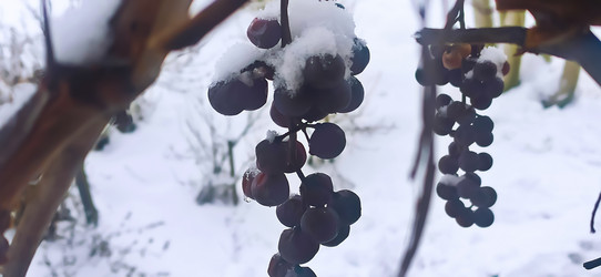 Similar image 21824872