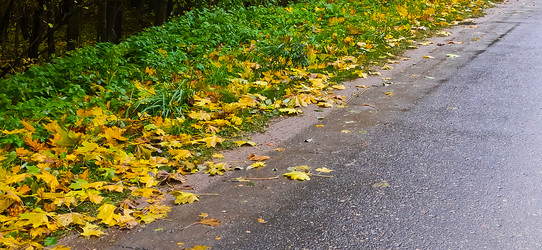 Similar image 21816939