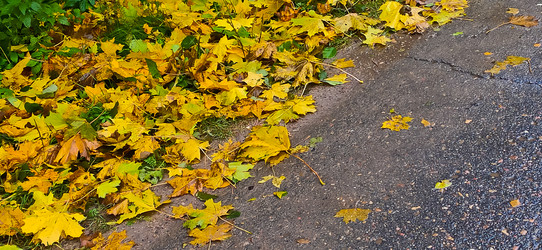 Similar image 21816940