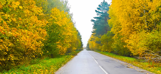 Similar image 21816941