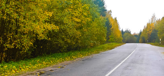 Similar image 21816942