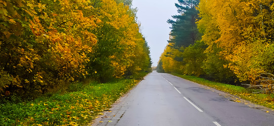 Similar image 21816946