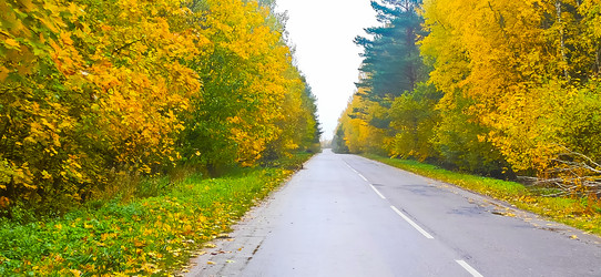 Similar image 21816947