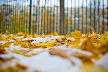 Similar image 21816530