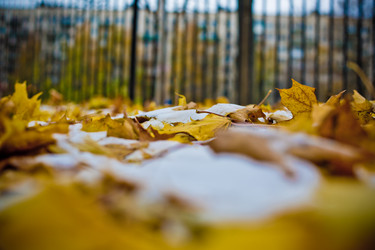 Similar image 21816531