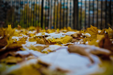 Similar image 21816533