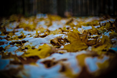 Similar image 21816535