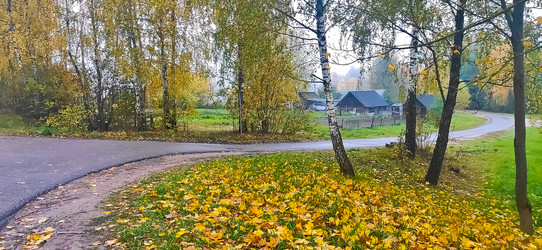 Similar image 21816538