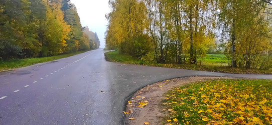 Similar image 21816539