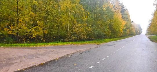 Similar image 21816540