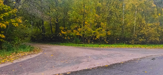 Similar image 21816541