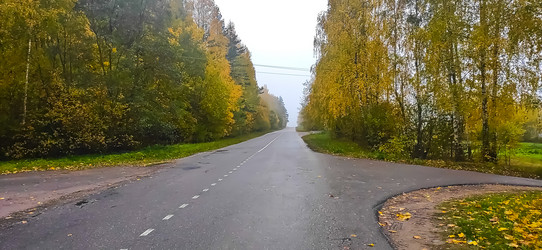 Similar image 21816543