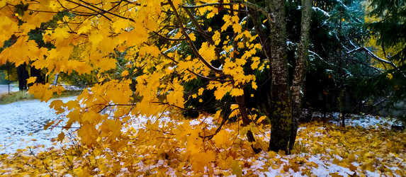 Similar image 21816545