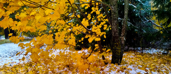 Similar image 21817434