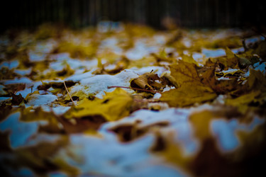 Similar image 21817435