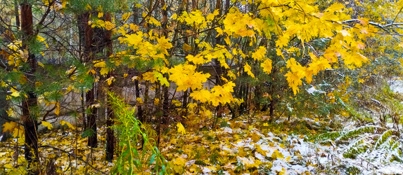 Similar image 21817437