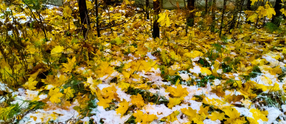 Similar image 21816547