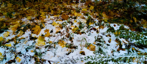 Similar image 21816548