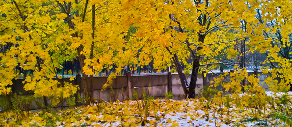 Similar image 21816549