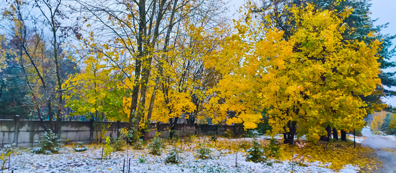 Similar image 21816550