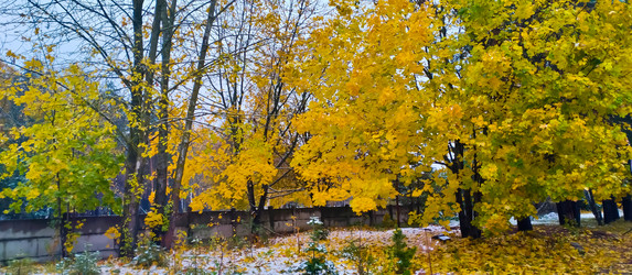 Similar image 21816551