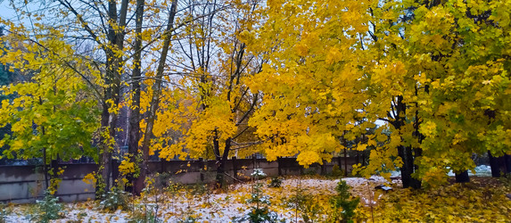 Similar image 21816552