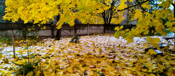 Similar image 21816553