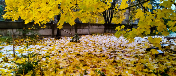 Similar image 21816554