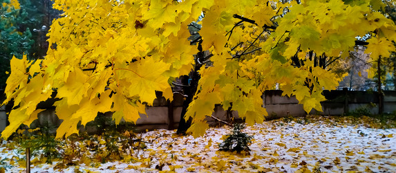 Similar image 21816555