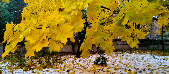 Similar image 21816556