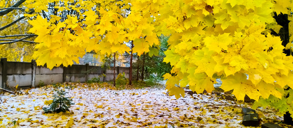 Similar image 21816557