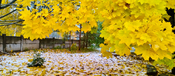 Similar image 21816558