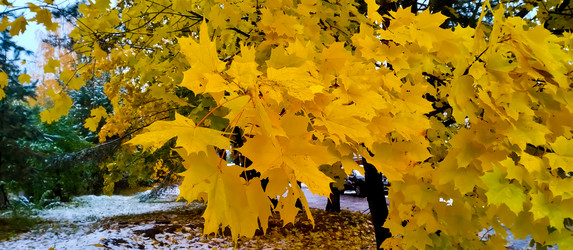 Similar image 21816559