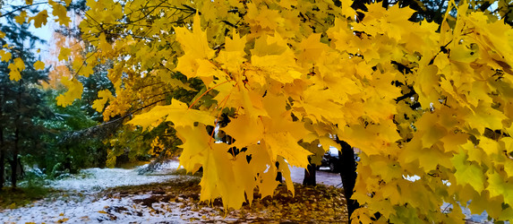 Similar image 21816560