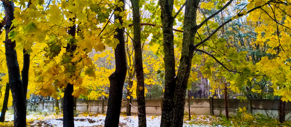 Similar image 21816562