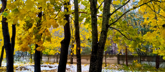 Similar image 21816563