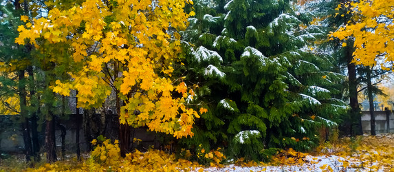 Similar image 21816564