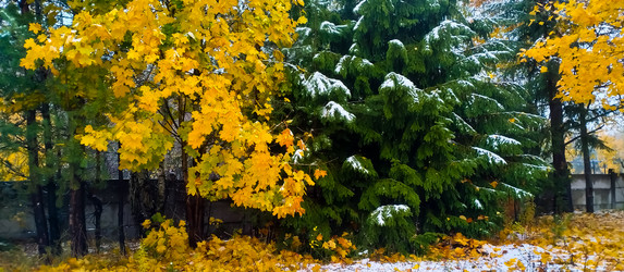 Similar image 21816565