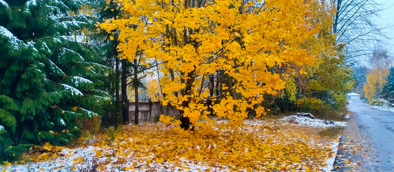 Similar image 21816566