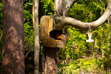 Similar image 21816568