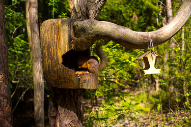 Similar image 21816569