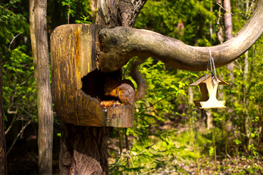 Similar image 21816949