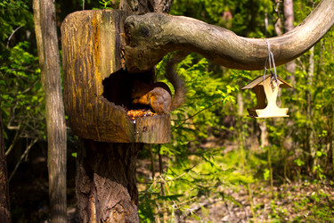 Similar image 21817438