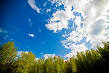 Similar image 21817441